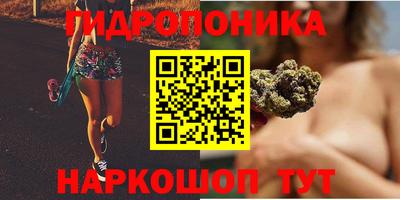 таблы Будённовск