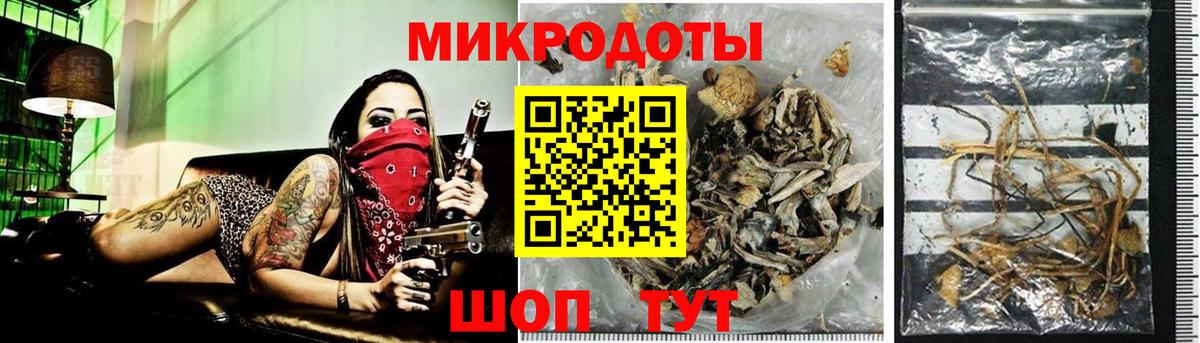 Галлюциногенные грибы Cubensis Хасавюрт