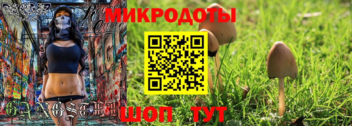 Галлюциногенные грибы прущие грибы  Вход с VPN  Хасавюрт 