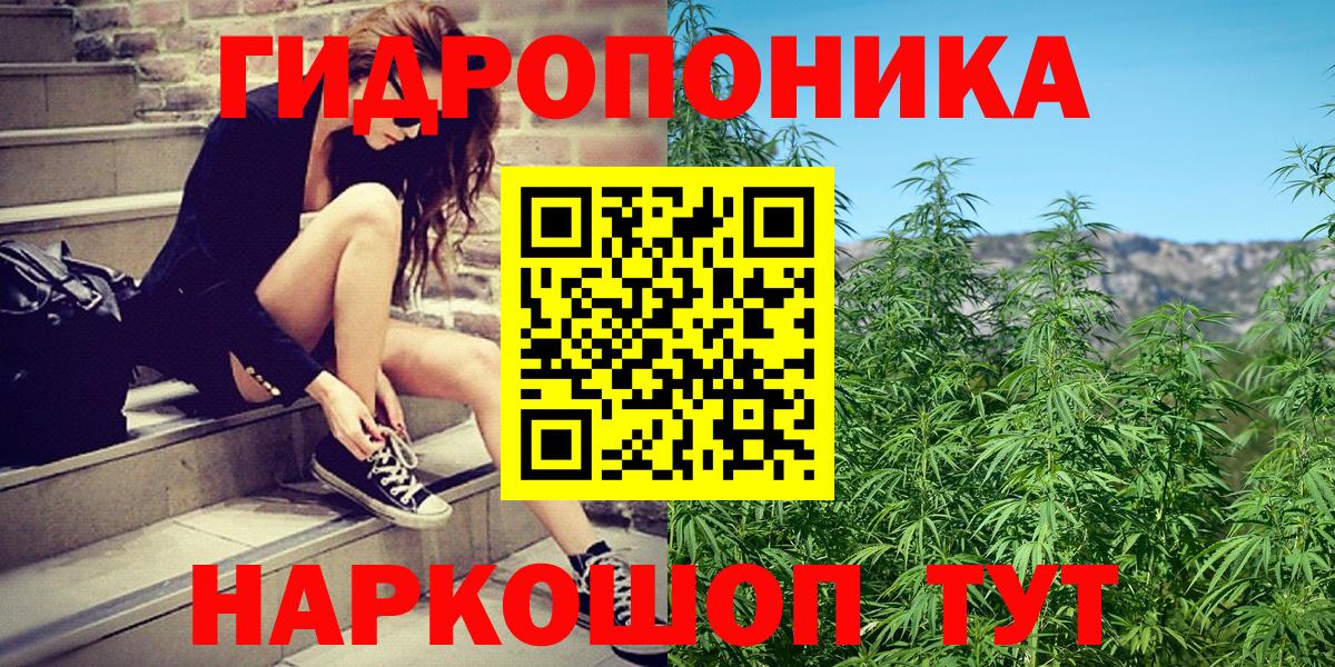 Каннабис White Widow Хасавюрт